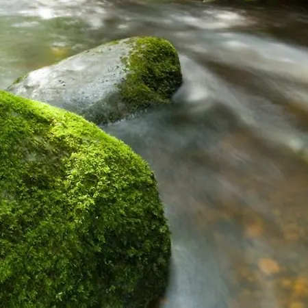 River Falls View Дом отдыха